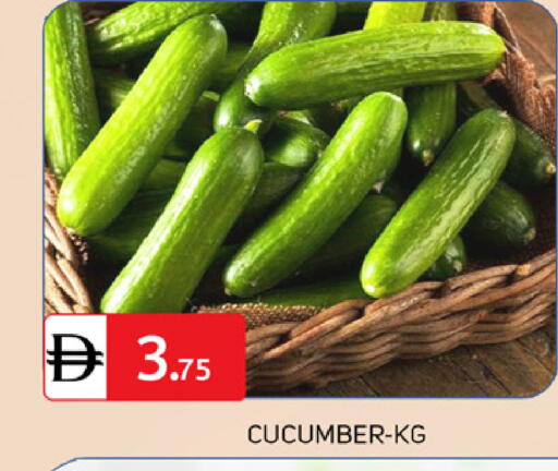 Cucumber available at TALAL MARKET in UAE - Dubai