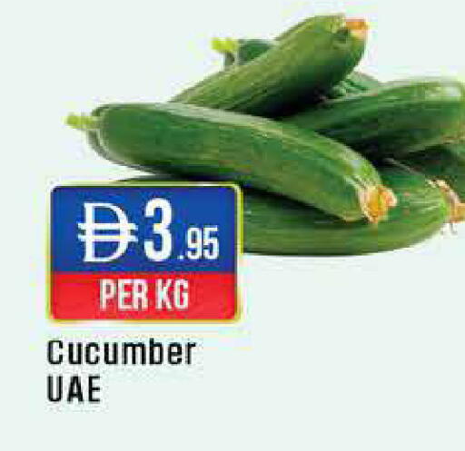 Cucumber available at ويست زون سوبرماركت in الإمارات العربية المتحدة , الامارات - أبو ظبي