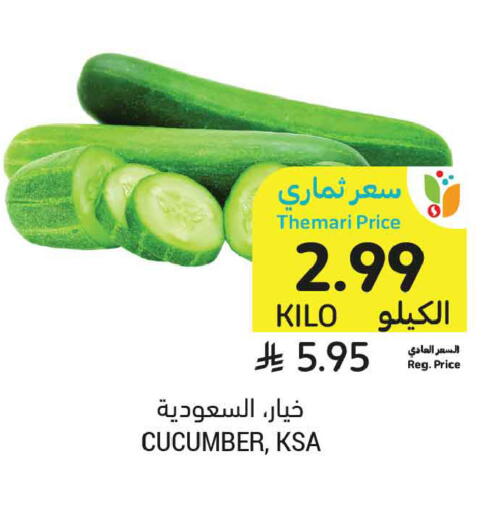 Cucumber available at أسواق التميمي in مملكة العربية السعودية, السعودية, سعودية - الرياض