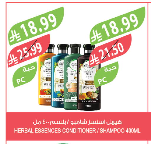 Coconut available at المزرعة in مملكة العربية السعودية, السعودية, سعودية - الرياض
