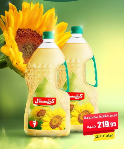 available at الفرجاني هايبر ماركت in Egypt - القاهرة