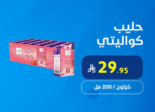 available at Snow Fall Co. in KSA, Saudi Arabia, Saudi - Dammam
