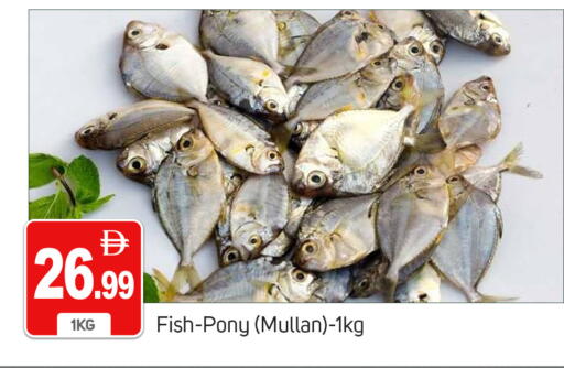 available at TALAL MARKET in UAE - Dubai