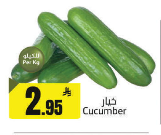Cucumber available at مخازن هايبرماركت in مملكة العربية السعودية, السعودية, سعودية - حفر الباطن