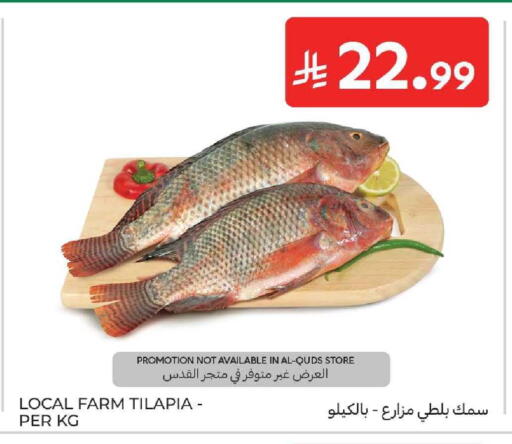 available at Carrefour in KSA, Saudi Arabia, Saudi - Dammam