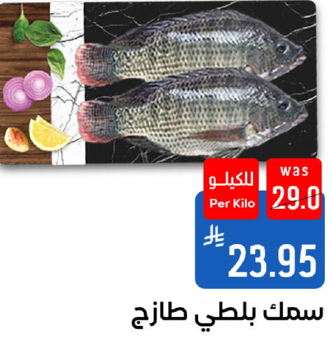 available at شبرا الطائف in مملكة العربية السعودية, السعودية, سعودية - الطائف