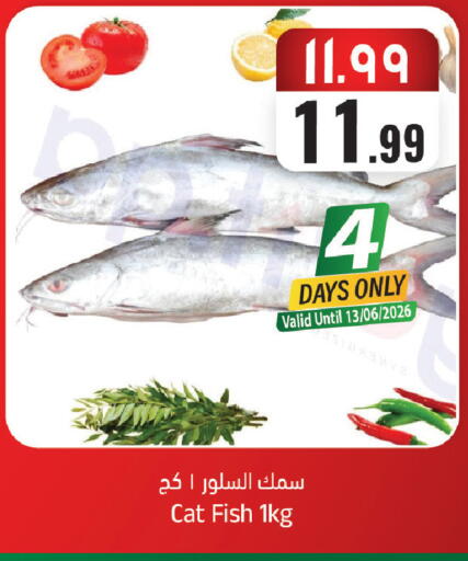 available at ستي فلاور in مملكة العربية السعودية, السعودية, سعودية - الرياض