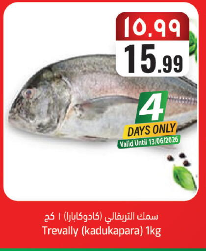 available at ستي فلاور in مملكة العربية السعودية, السعودية, سعودية - الرياض