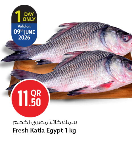 available at سفاري هايبر ماركت in قطر - الوكرة