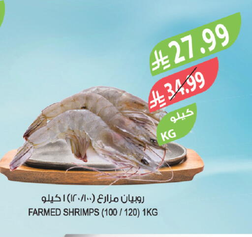 available at المزرعة in مملكة العربية السعودية, السعودية, سعودية - الرياض