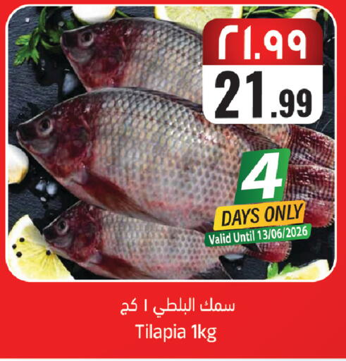 available at ستي فلاور in مملكة العربية السعودية, السعودية, سعودية - الجبيل‎