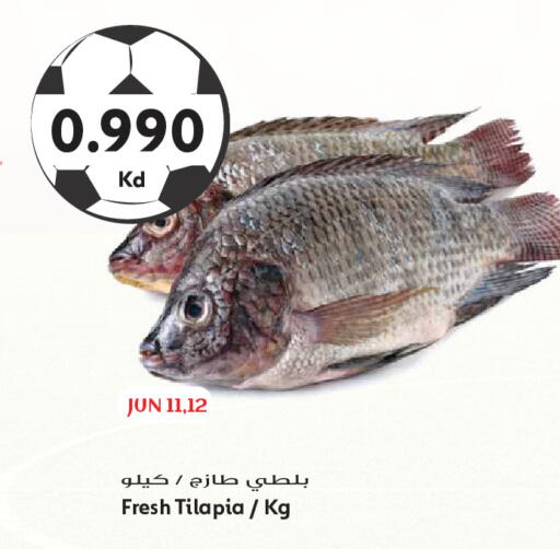 available at جراند هايبر in الكويت - مدينة الكويت