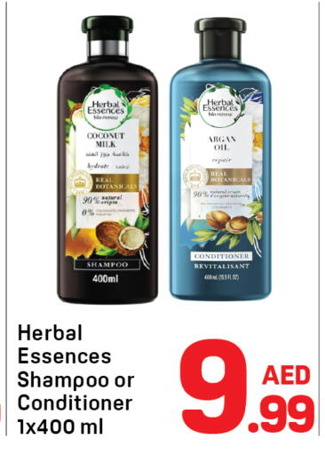 Coconut available at Day to Day Department Store in UAE - Dubai