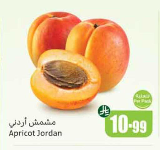 Apricot from Jordan available at Othaim Markets in KSA, Saudi Arabia, Saudi - Bishah
