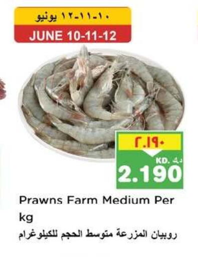 available at نستو هايبر ماركت in الكويت - مدينة الكويت