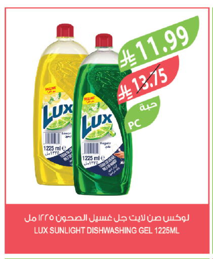 Lemon available at Farm  in KSA, Saudi Arabia, Saudi - Najran