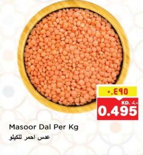 available at نستو هايبر ماركت in الكويت - مدينة الكويت