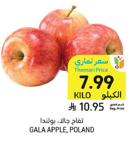Apple from Poland available at أسواق التميمي in مملكة العربية السعودية, السعودية, سعودية - عنيزة