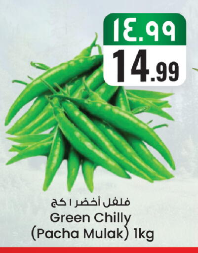 available at ستي فلاور in مملكة العربية السعودية, السعودية, سعودية - الجبيل‎