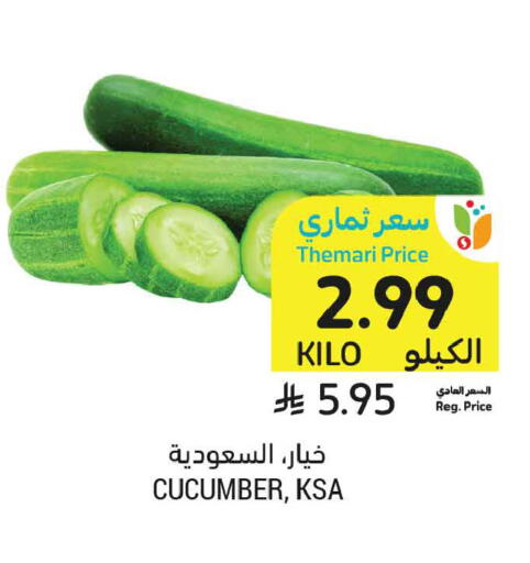 Cucumber available at أسواق التميمي in مملكة العربية السعودية, السعودية, سعودية - الرياض