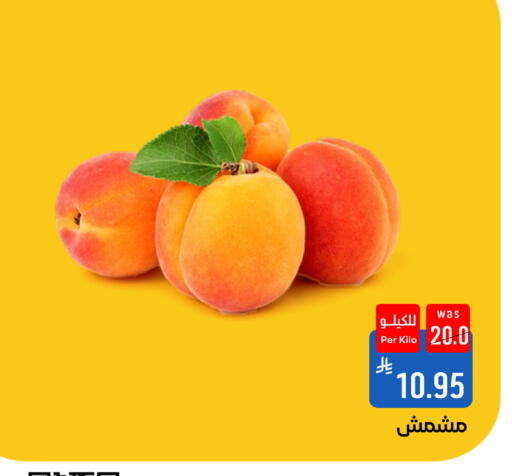 available at شبرا الطائف in مملكة العربية السعودية, السعودية, سعودية - الطائف