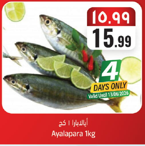 available at ستي فلاور in مملكة العربية السعودية, السعودية, سعودية - الجبيل‎