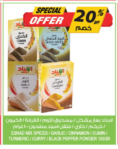 Cumin Garlic Turmeric Cinnamon Pepper available at المزرعة in مملكة العربية السعودية, السعودية, سعودية - ينبع