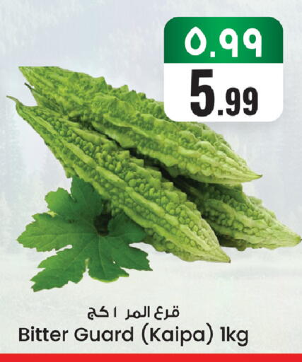 available at ستي فلاور in مملكة العربية السعودية, السعودية, سعودية - الجبيل‎
