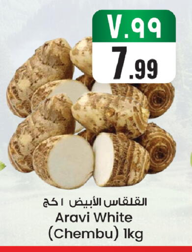 available at ستي فلاور in مملكة العربية السعودية, السعودية, سعودية - الجبيل‎