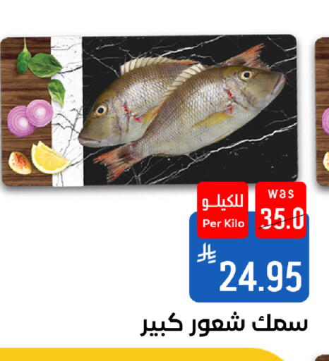 available at شبرا الطائف in مملكة العربية السعودية, السعودية, سعودية - الطائف