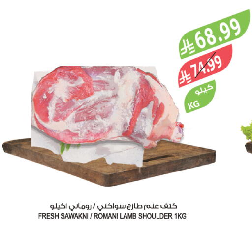 available at المزرعة in مملكة العربية السعودية, السعودية, سعودية - الرياض