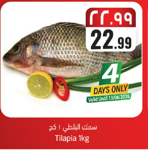 available at City Flower in KSA, Saudi Arabia, Saudi - Sakaka
