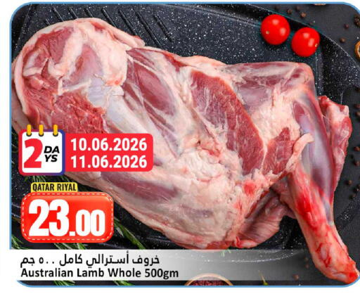 available at دانة هايبرماركت in قطر - الوكرة