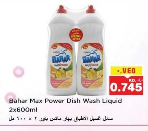 available at نستو هايبر ماركت in الكويت - مدينة الكويت