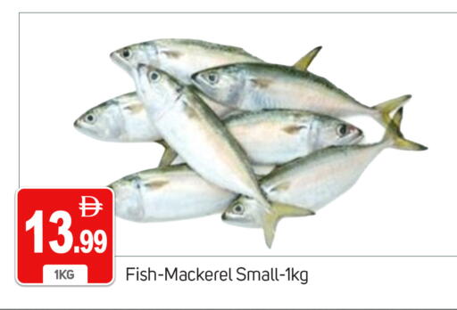 available at TALAL MARKET in UAE - Dubai