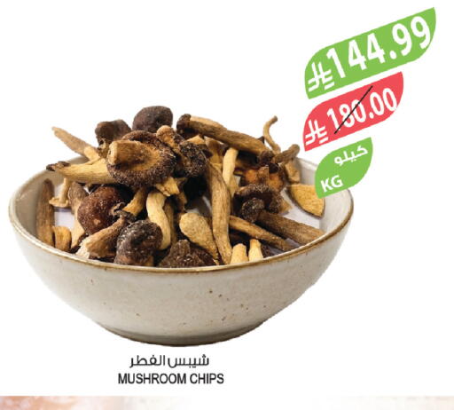 Mushroom available at Farm  in KSA, Saudi Arabia, Saudi - Qatif