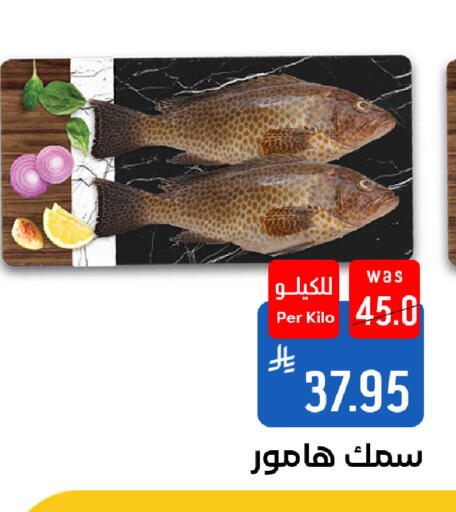 available at شبرا الطائف in مملكة العربية السعودية, السعودية, سعودية - الطائف