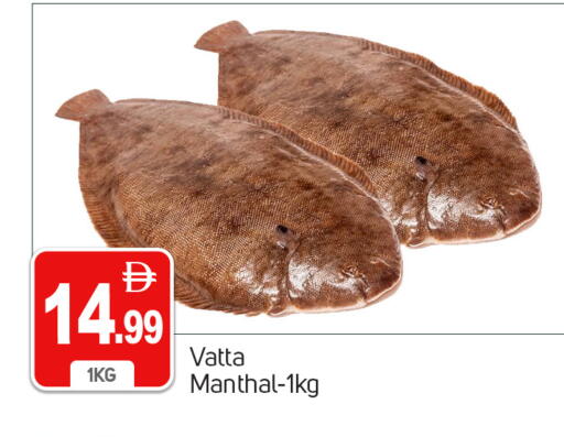 available at سوق طلال in الإمارات العربية المتحدة , الامارات - دبي