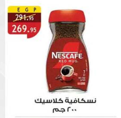 available at الرايه  ماركت in Egypt - القاهرة