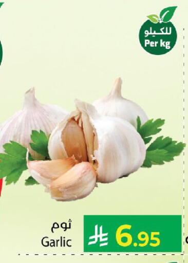 Garlic available at Kabayan Hypermarket in KSA, Saudi Arabia, Saudi - Yanbu