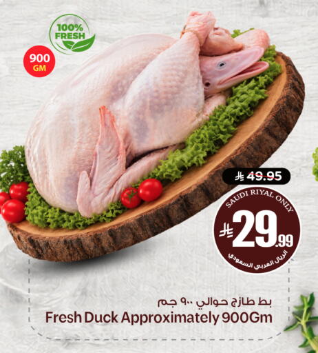 available at نستو in مملكة العربية السعودية, السعودية, سعودية - الخرج