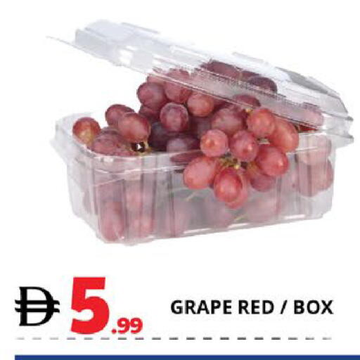 available at EXPRESS AL MADEENA HYPERMARKET LLC in UAE - Abu Dhabi