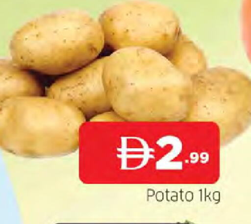 Potato available at المدينة in الإمارات العربية المتحدة , الامارات - الشارقة / عجمان