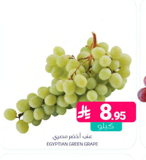 from Egypt available at Muntazah Markets in KSA, Saudi Arabia, Saudi - Saihat