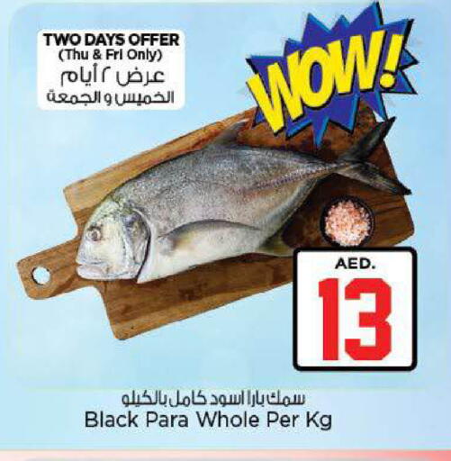 available at نستو هايبرماركت in الإمارات العربية المتحدة , الامارات - ٱلْعَيْن‎
