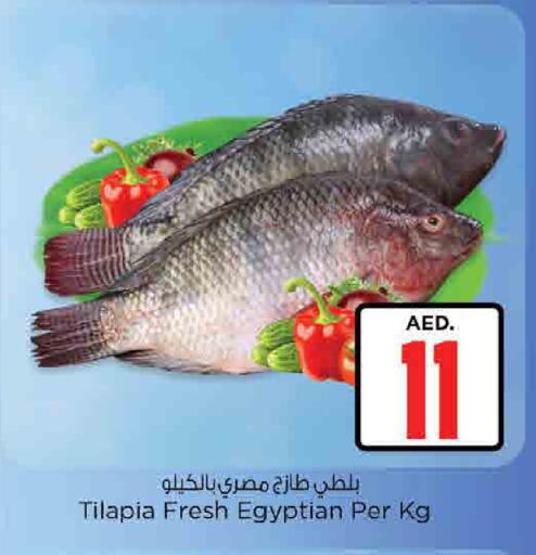 available at نستو هايبرماركت in الإمارات العربية المتحدة , الامارات - رَأْس ٱلْخَيْمَة