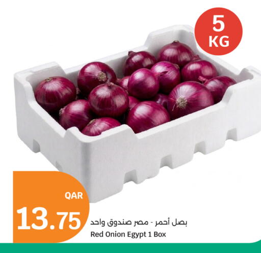 Onion from Egypt available at City Hypermarket in Qatar - Al Rayyan