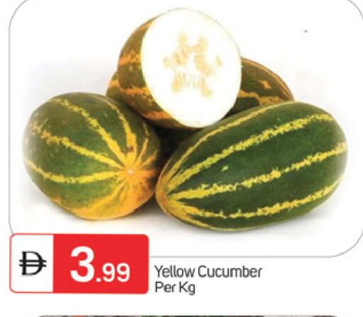 Cucumber available at TALAL MARKET in UAE - Fujairah