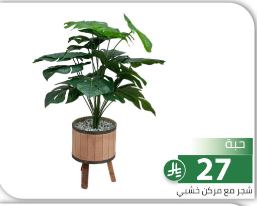 available at Family Discount in KSA, Saudi Arabia, Saudi - Riyadh