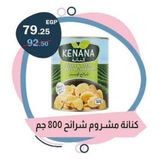 available at Flamingo Hyper Market in Egypt - Cairo